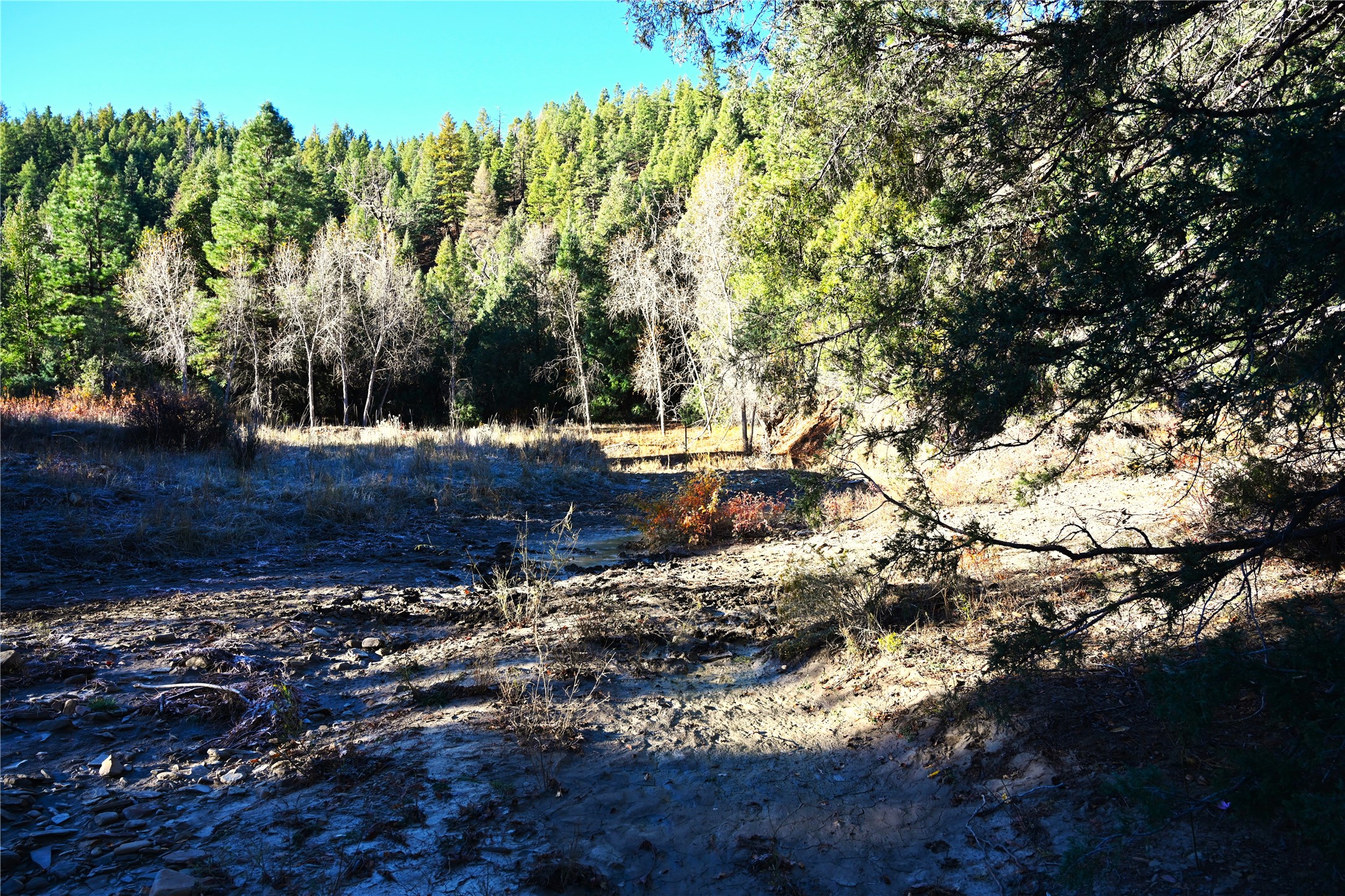 00 Cr 352, Chama, New Mexico image 19