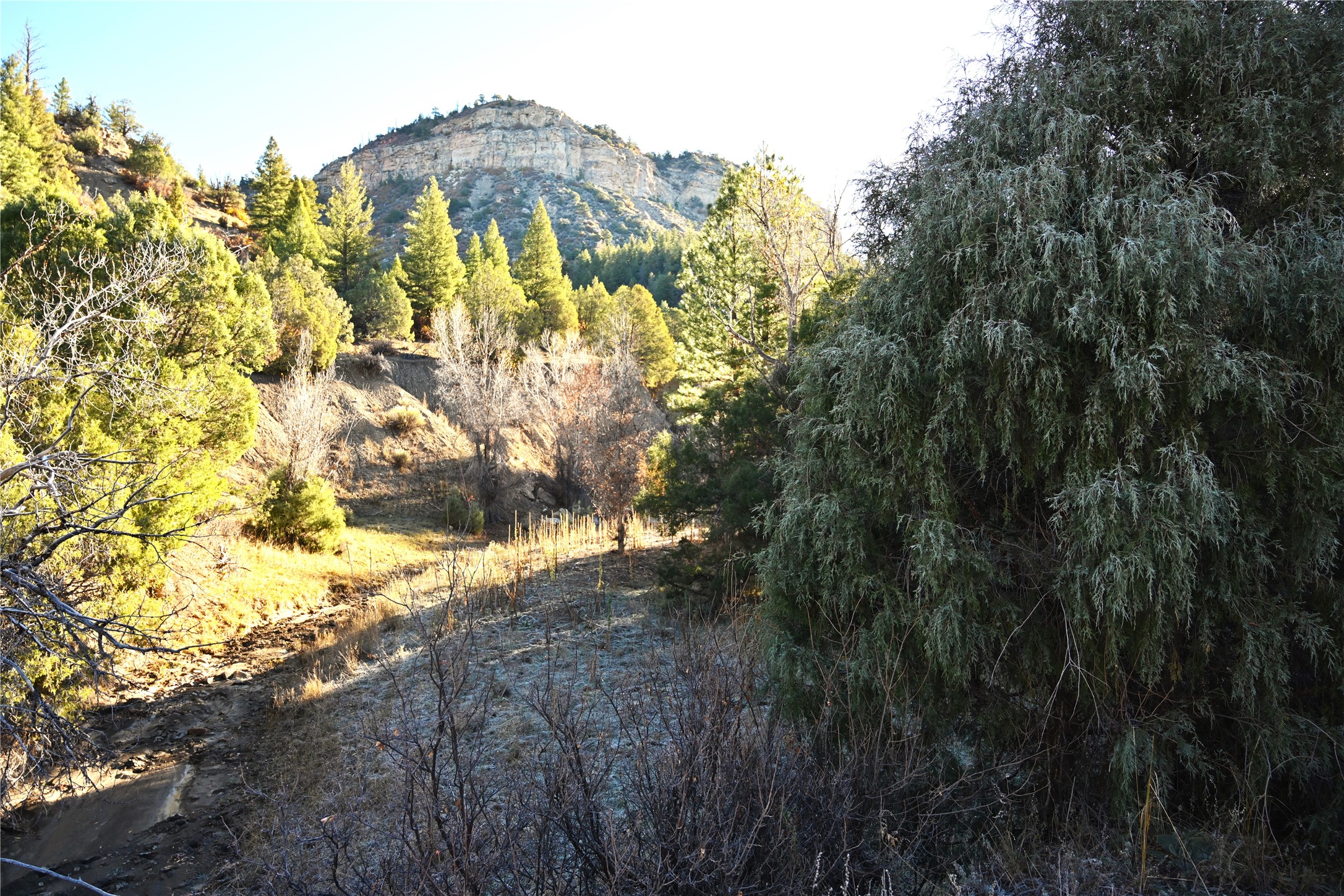 00 Cr 352, Chama, New Mexico image 22