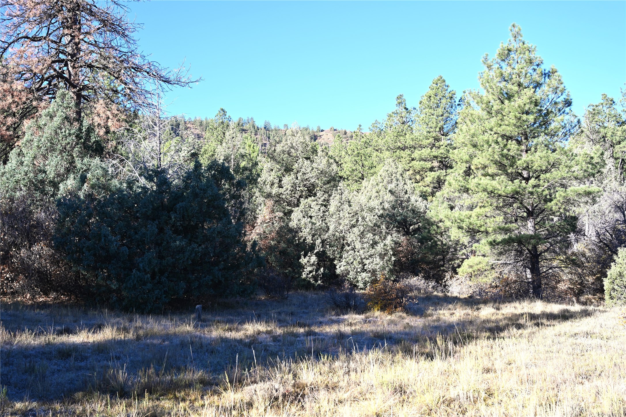 00 Cr 352, Chama, New Mexico image 37