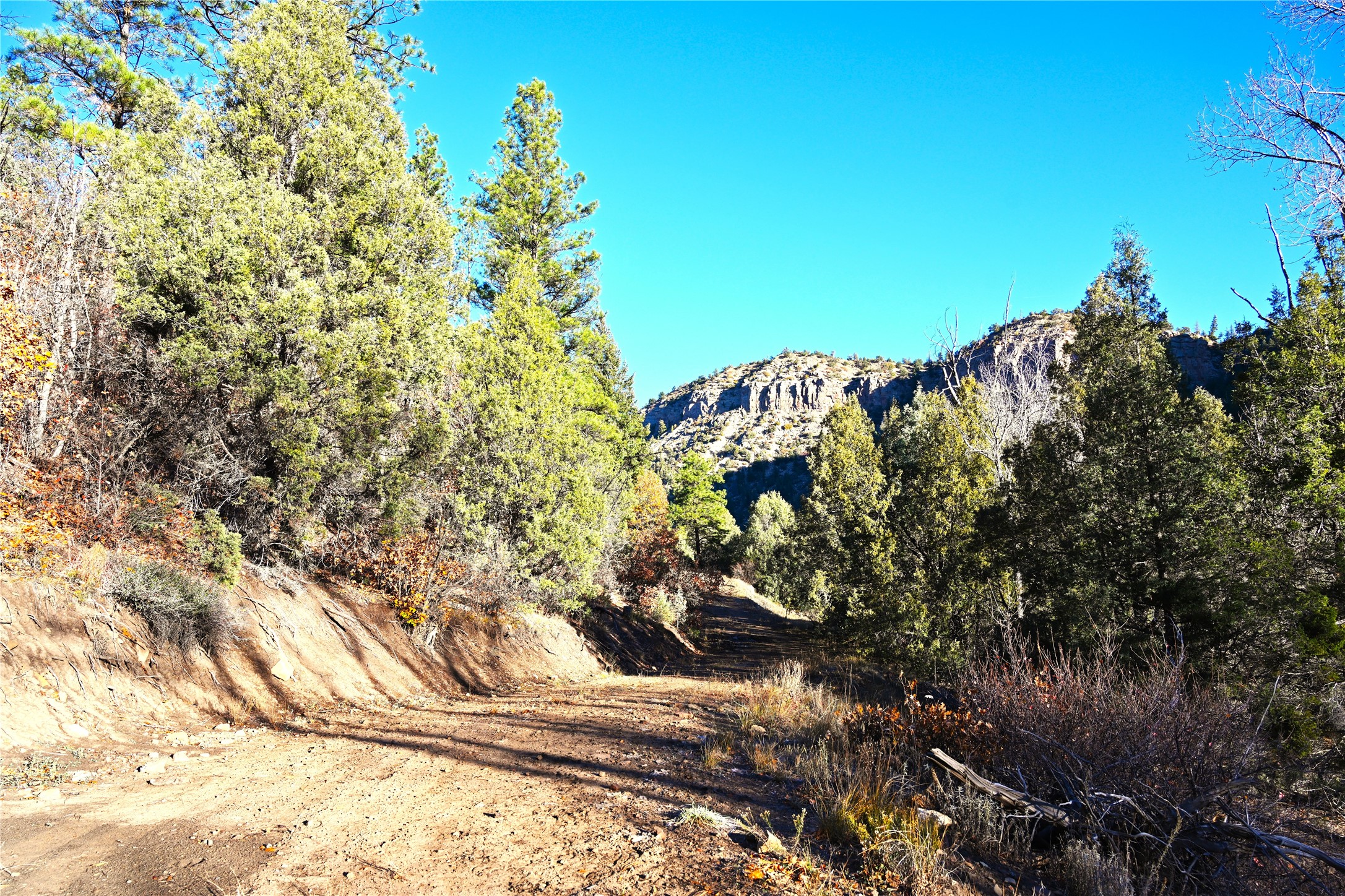 00 Cr 352, Chama, New Mexico image 6