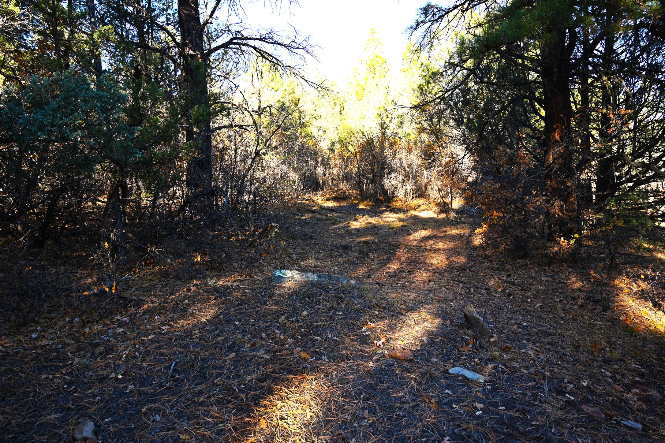 00 Cr 352, Chama, New Mexico image 31