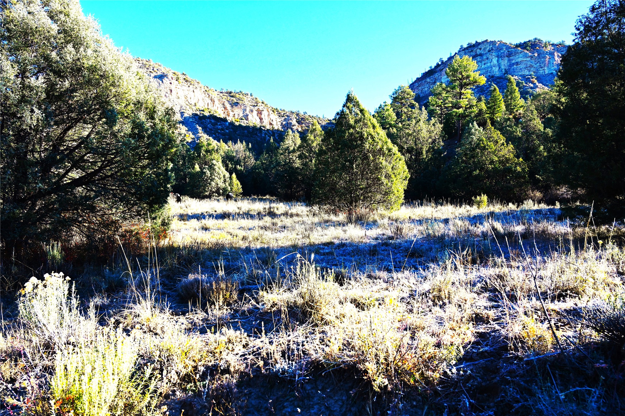 00 Cr 352, Chama, New Mexico image 17