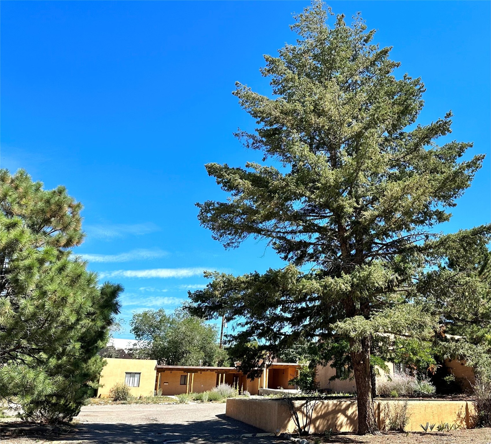 104 Camino Matias #LOT 29, Santa Fe, New Mexico image 20