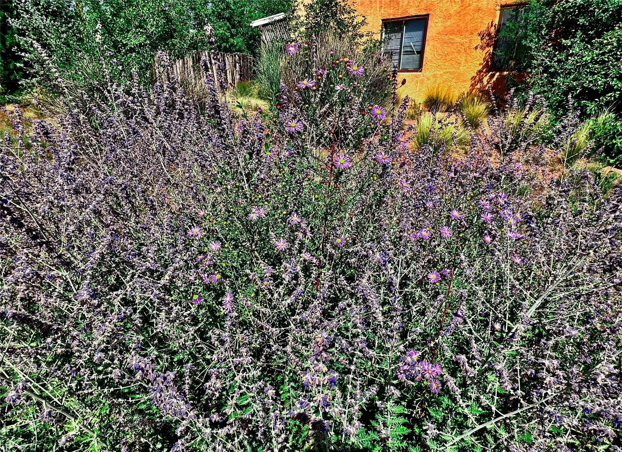 104 Camino Matias #LOT 29, Santa Fe, New Mexico image 23