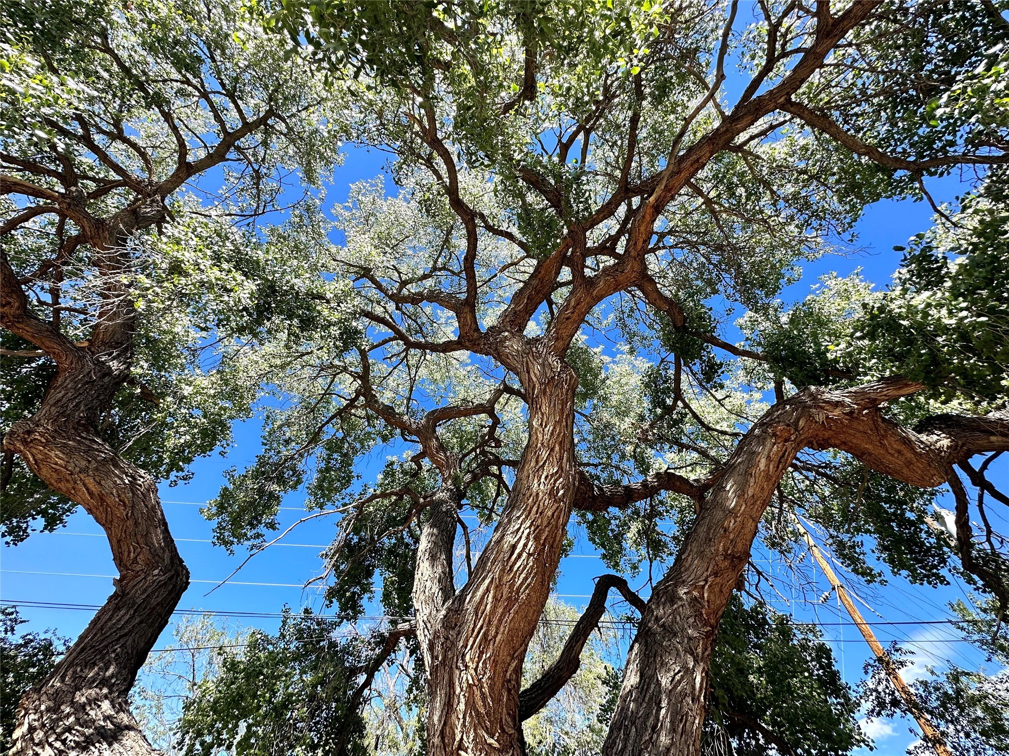 104 Camino Matias #LOT 29, Santa Fe, New Mexico image 25