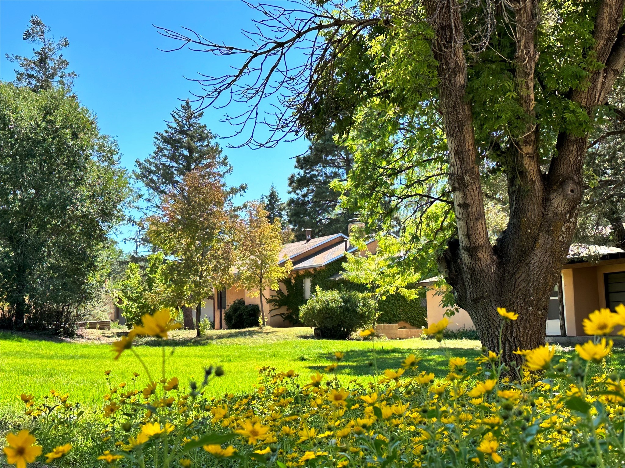 104 Camino Matias #LOT 29, Santa Fe, New Mexico image 27