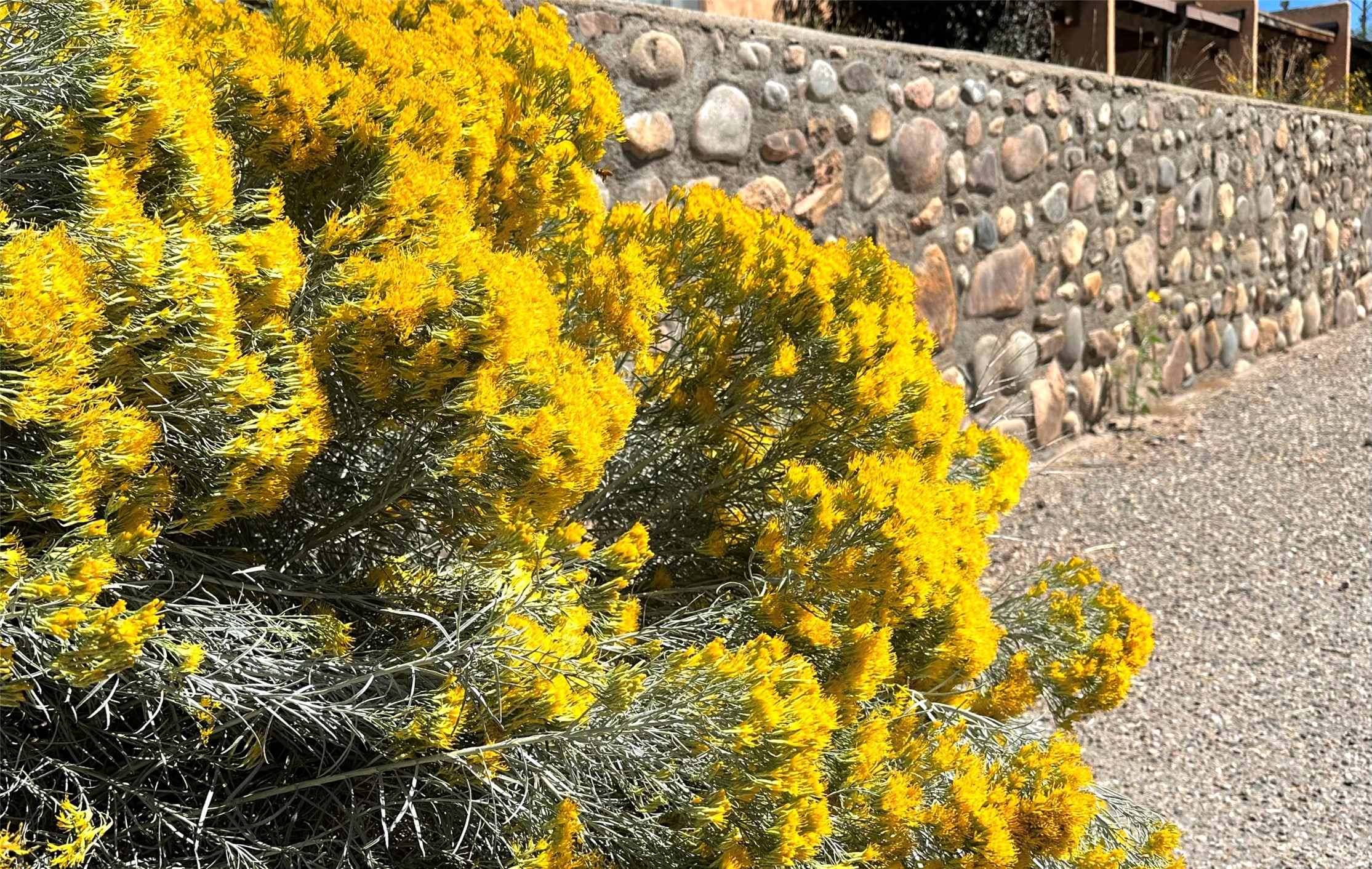 104 Camino Matias #LOT 29, Santa Fe, New Mexico image 29