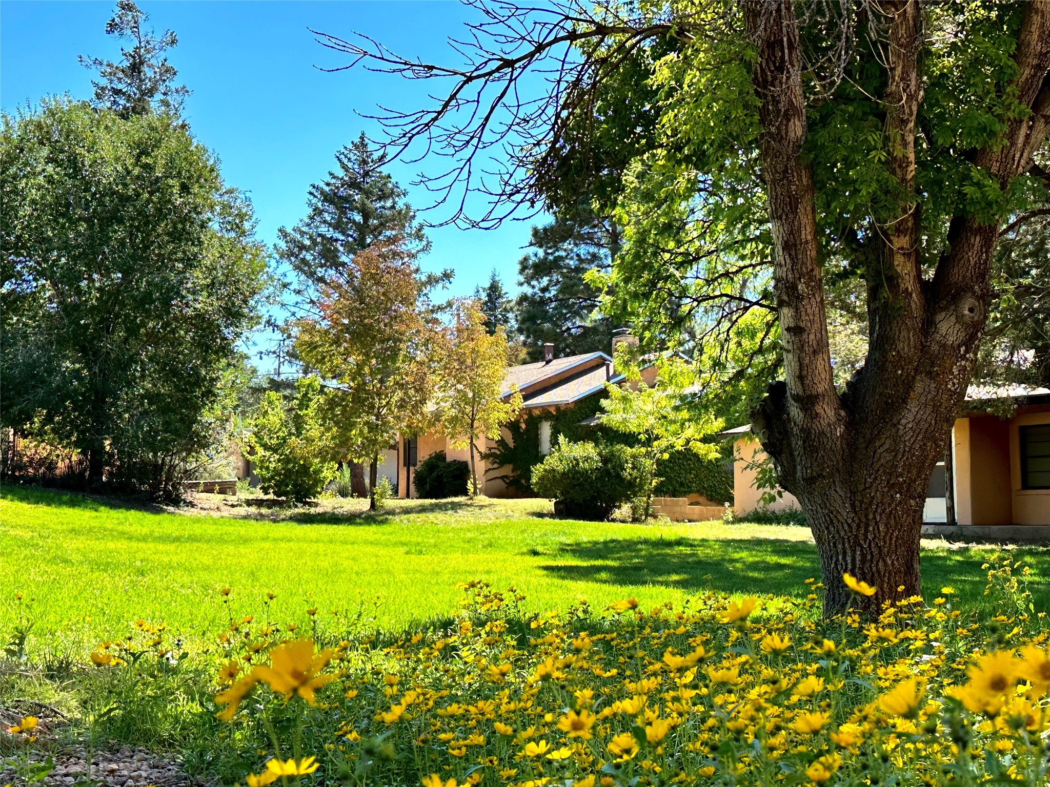 104 Camino Matias #LOT 29, Santa Fe, New Mexico image 28