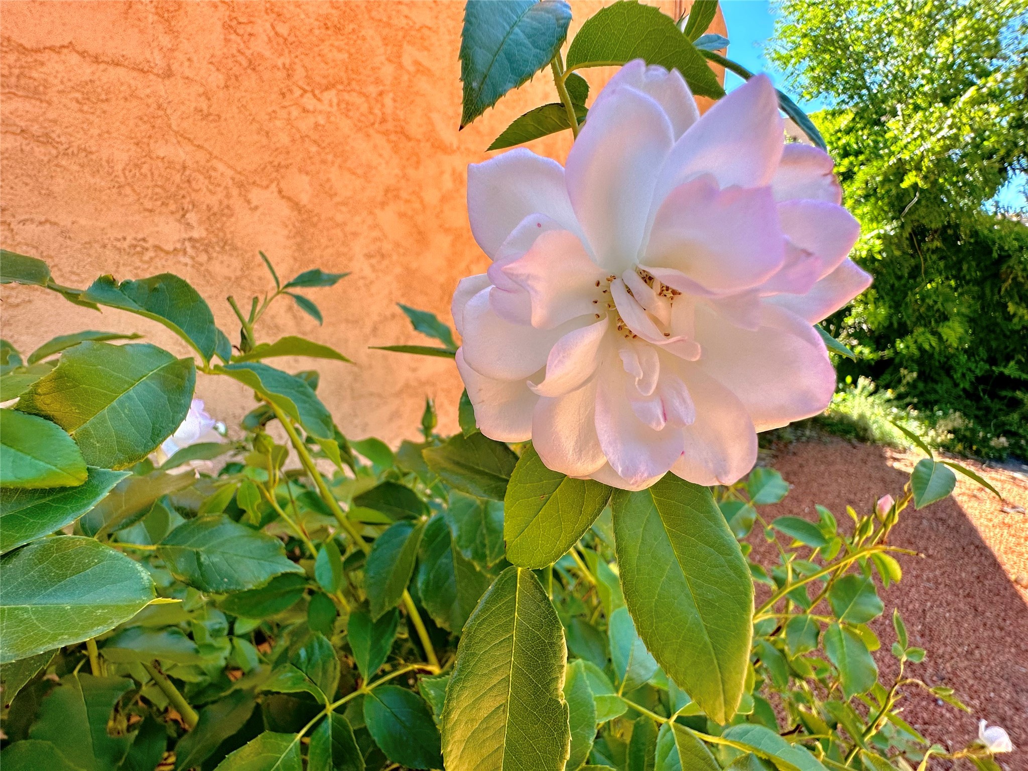 104 Camino Matias #LOT 29, Santa Fe, New Mexico image 26