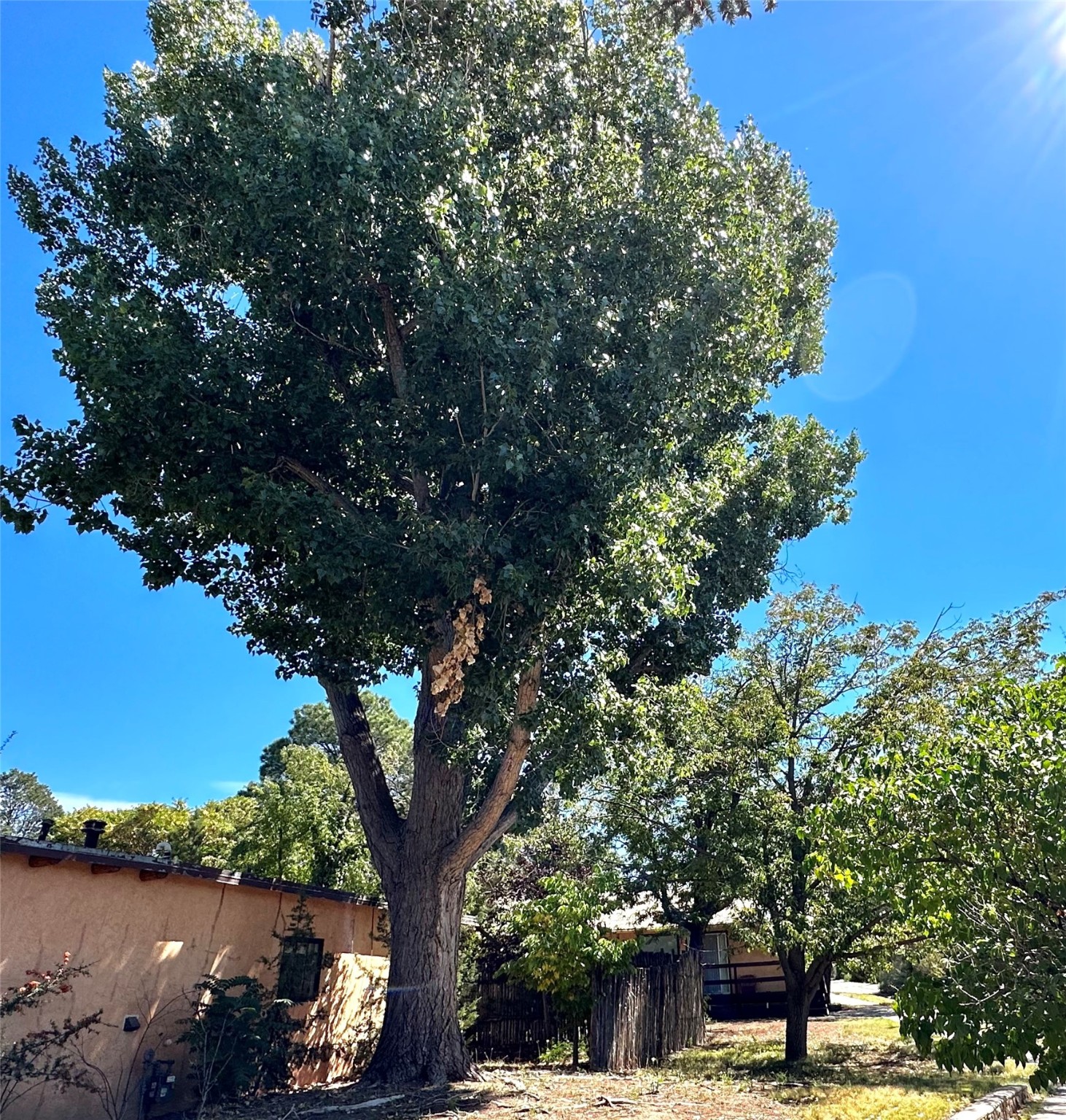 104 Camino Matias #LOT 29, Santa Fe, New Mexico image 21