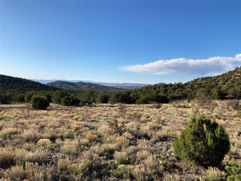 Photo of 100 Ortiz Mountain Dr, Cerrillos, NM 87010 (MLS # 202604168)
