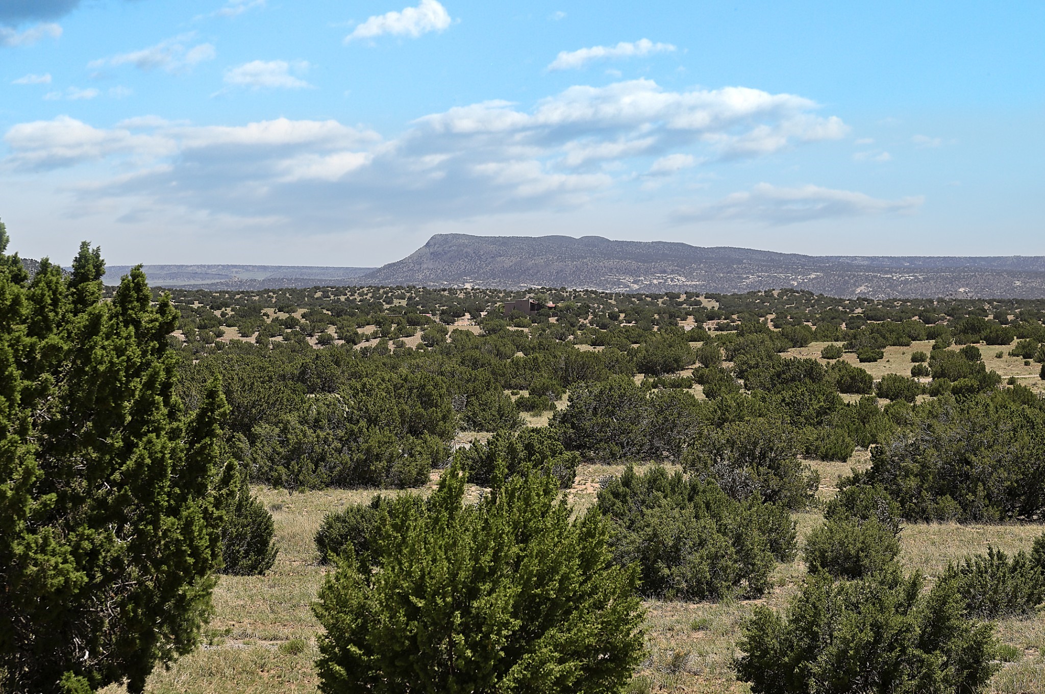 25 Shawnodese, Santa Fe, New Mexico image 42