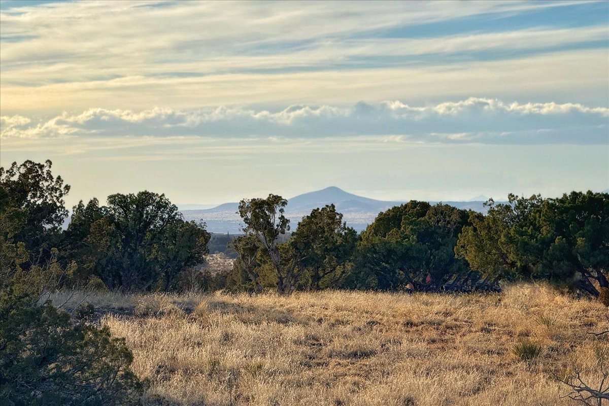 47 W Saddleback Mesa, Santa Fe, New Mexico image 1