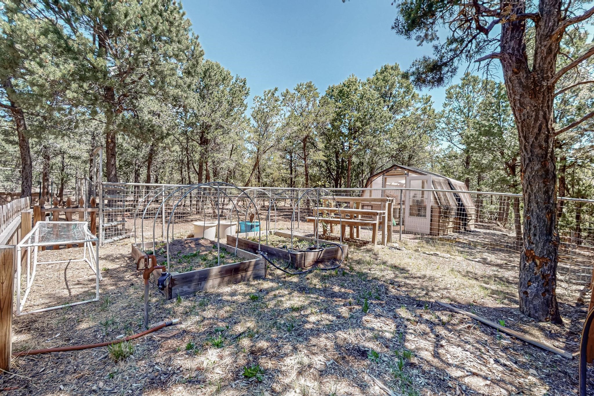 76 Los Altos De Cicuye, Pecos, New Mexico image 8