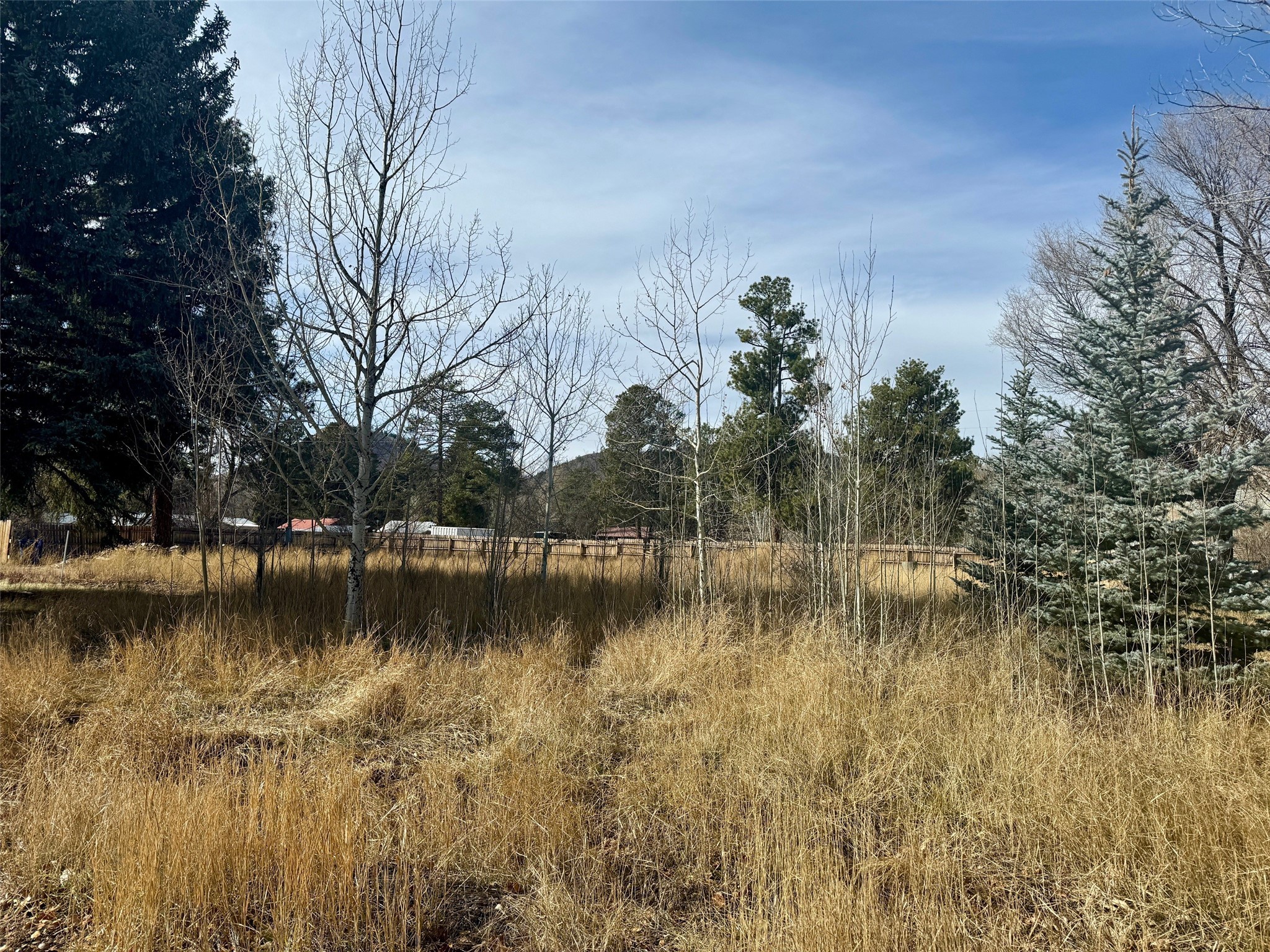 TBD Pine Avenue, Chama, New Mexico image 9