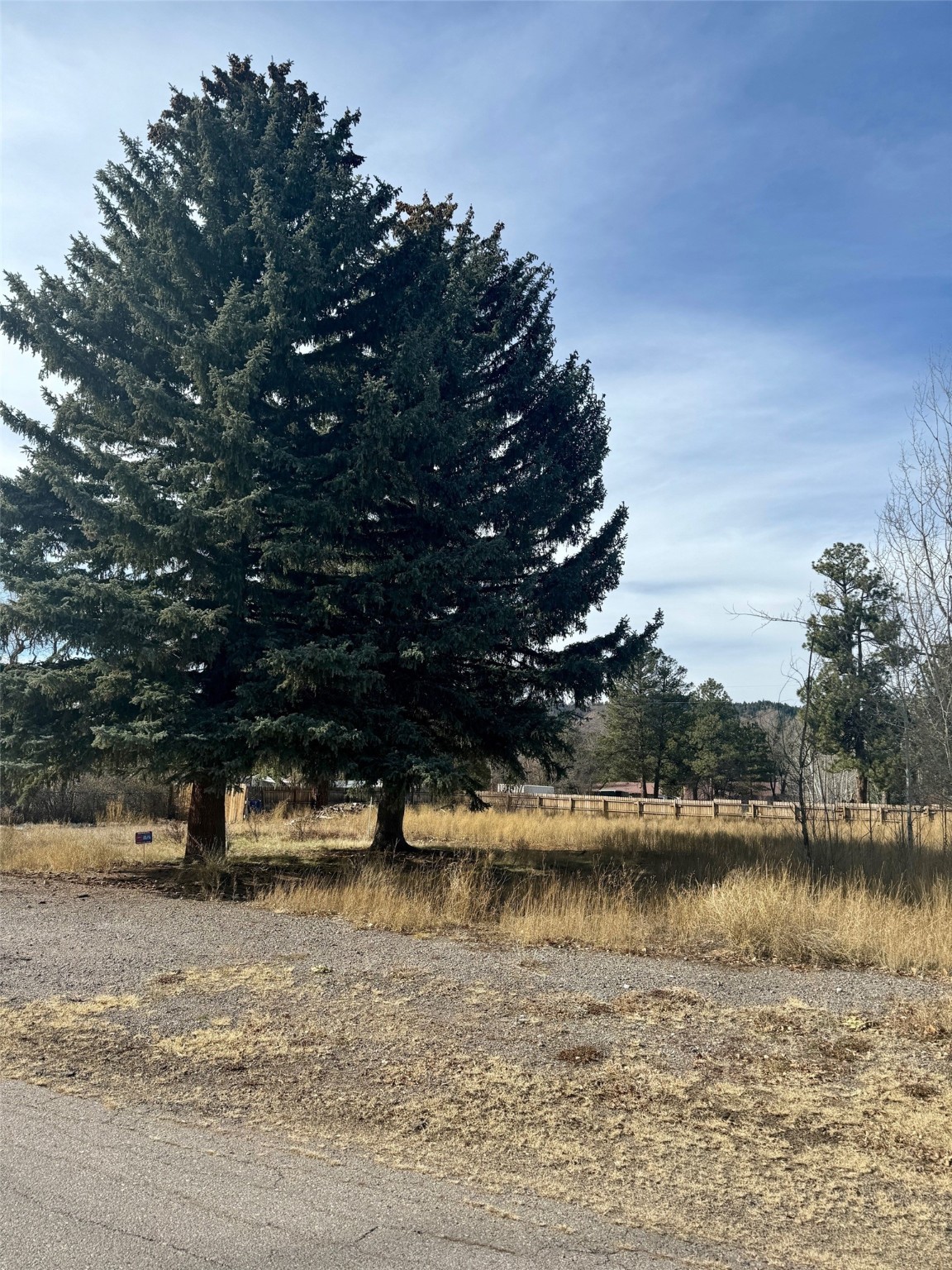 TBD Pine Avenue, Chama, New Mexico image 8