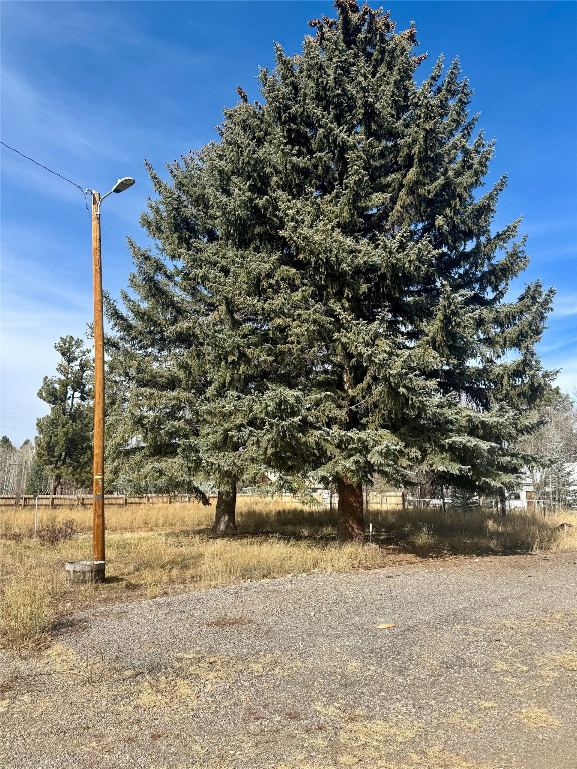 TBD Pine Avenue, Chama, New Mexico image 1