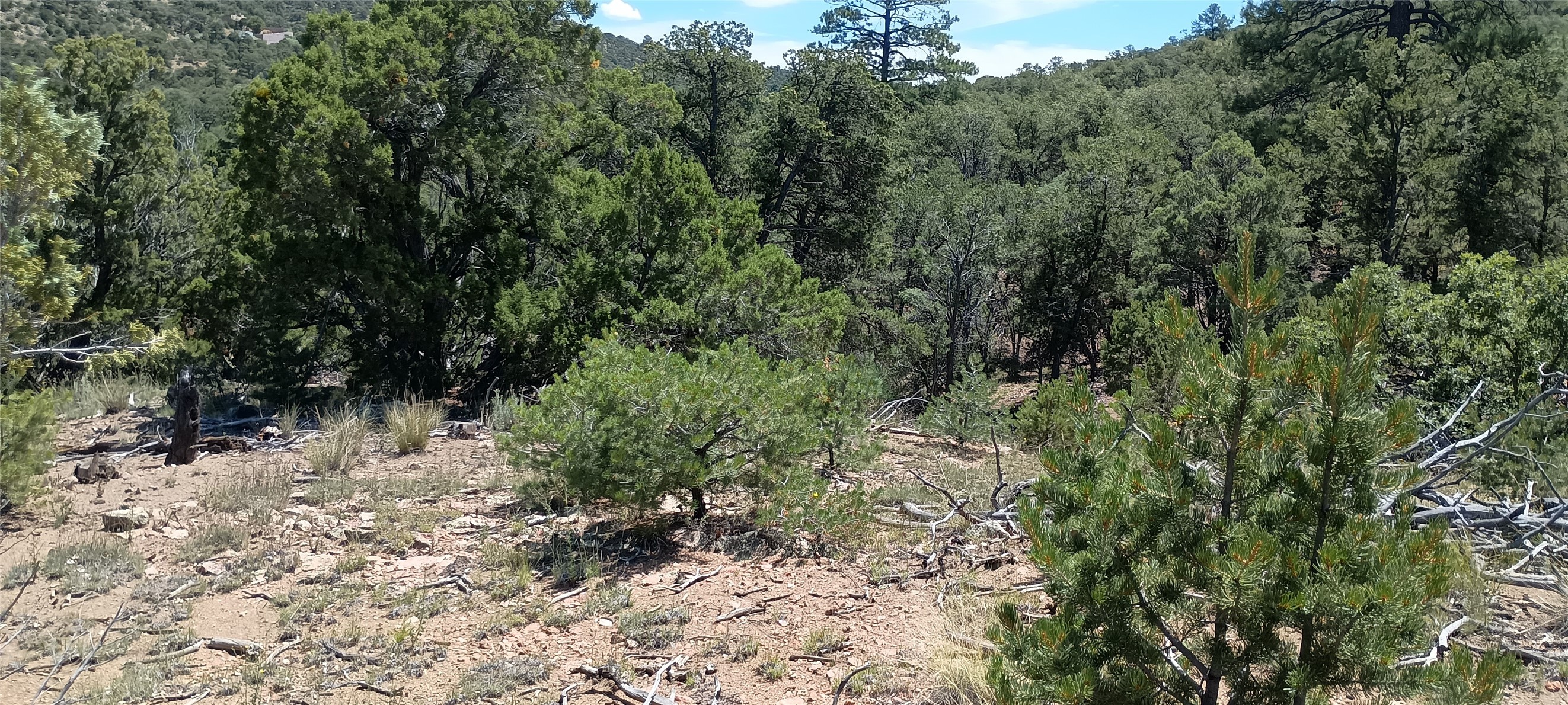 13 Sena Lane #LOT 2, Santa Fe, New Mexico image 16