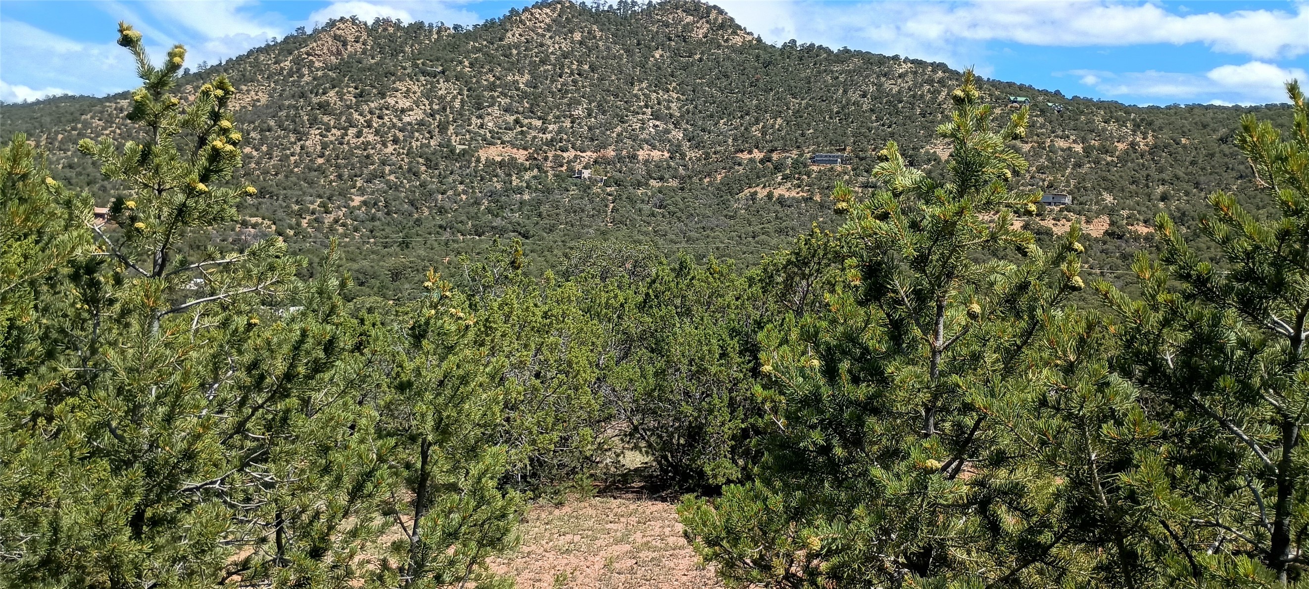 13 Sena Lane #LOT 2, Santa Fe, New Mexico image 17