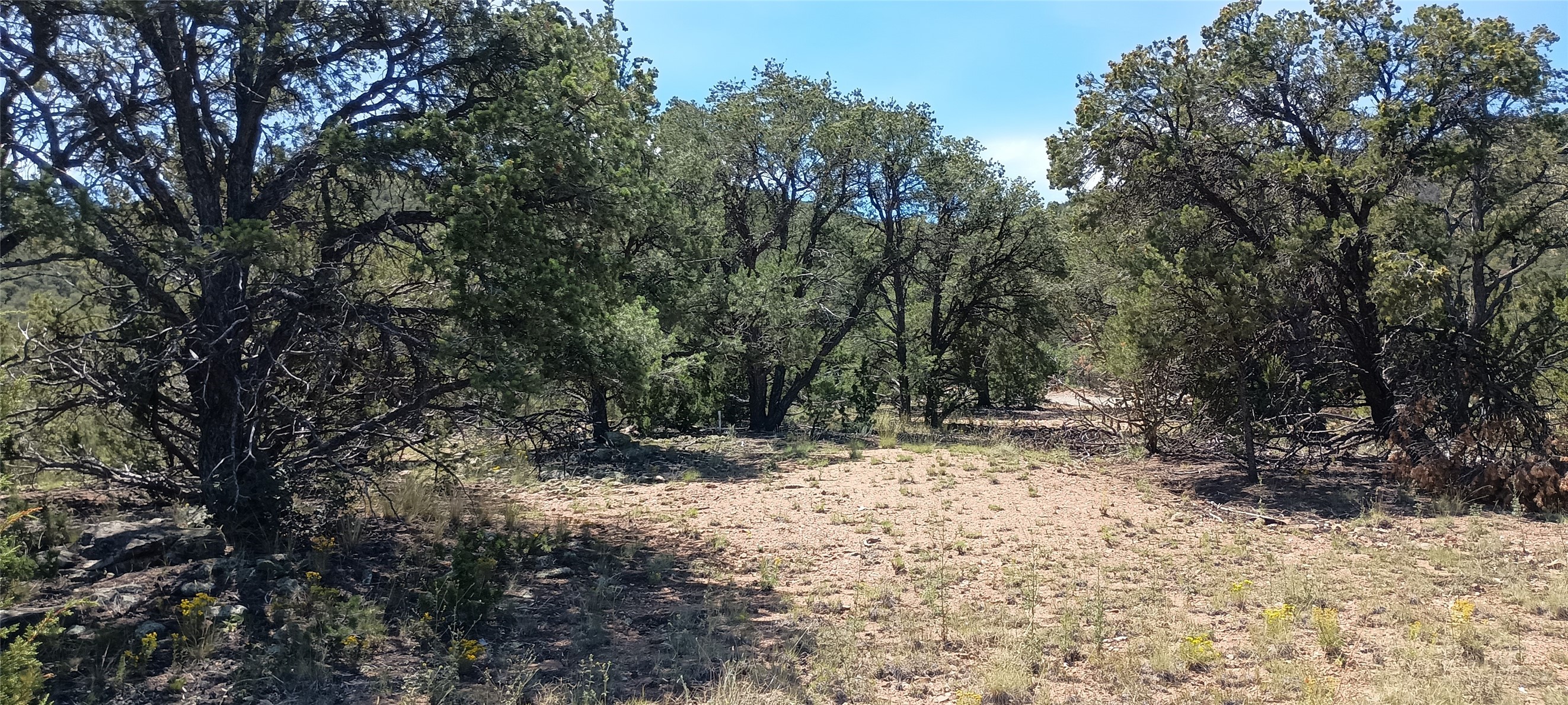 13 Sena Lane #LOT 2, Santa Fe, New Mexico image 11