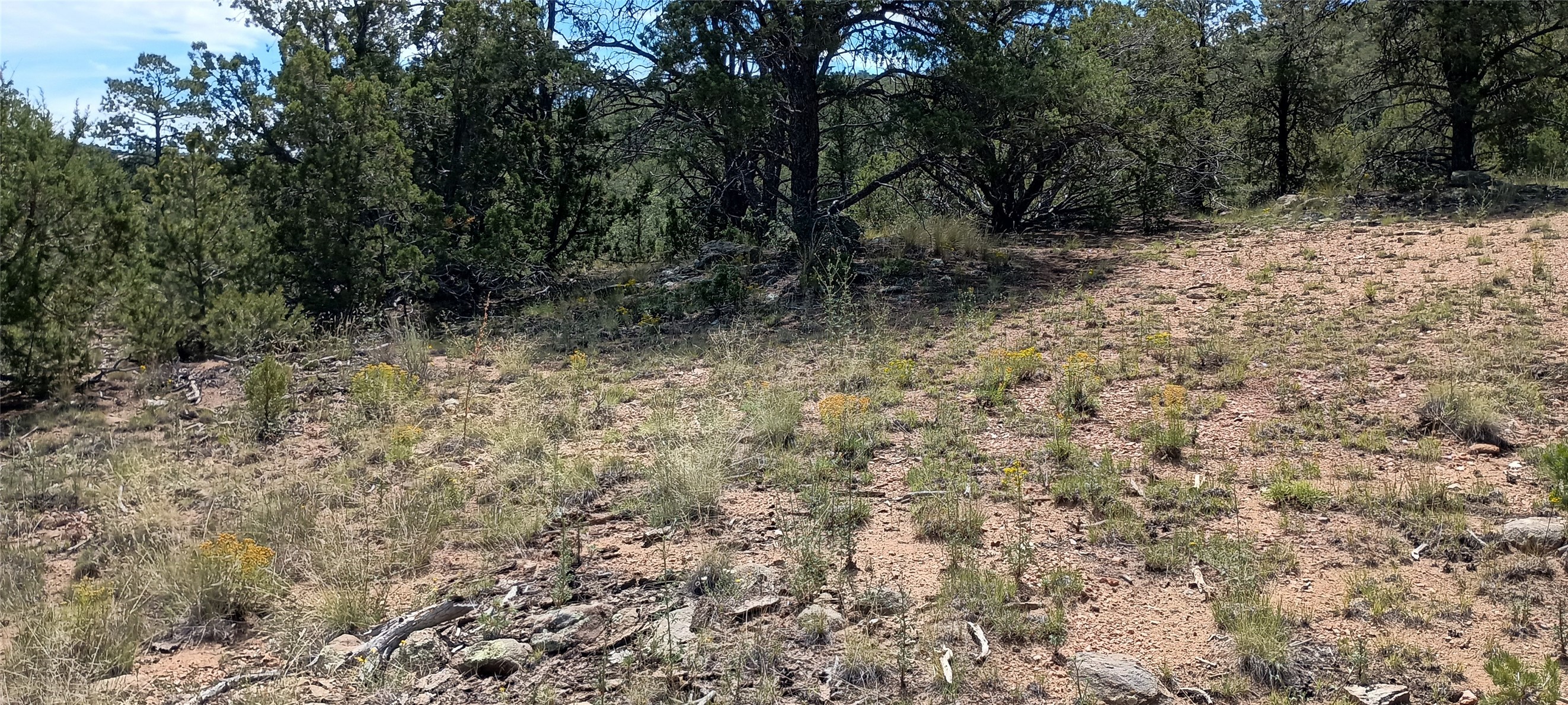 13 Sena Lane #LOT 2, Santa Fe, New Mexico image 6