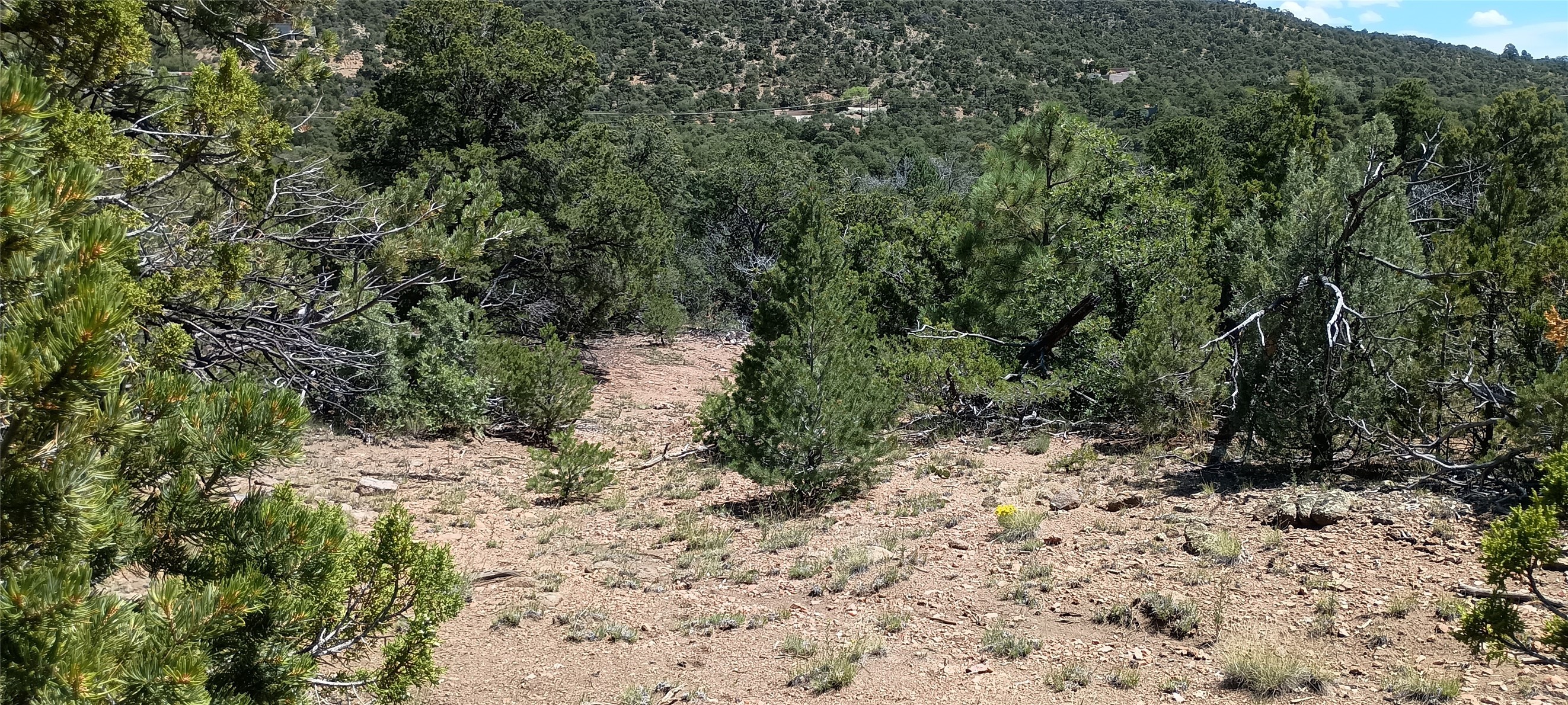 13 Sena Lane #LOT 2, Santa Fe, New Mexico image 14