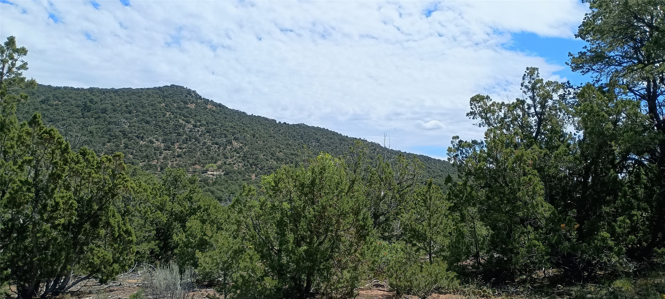 13 Sena Lane #LOT 2, Santa Fe, New Mexico image 10