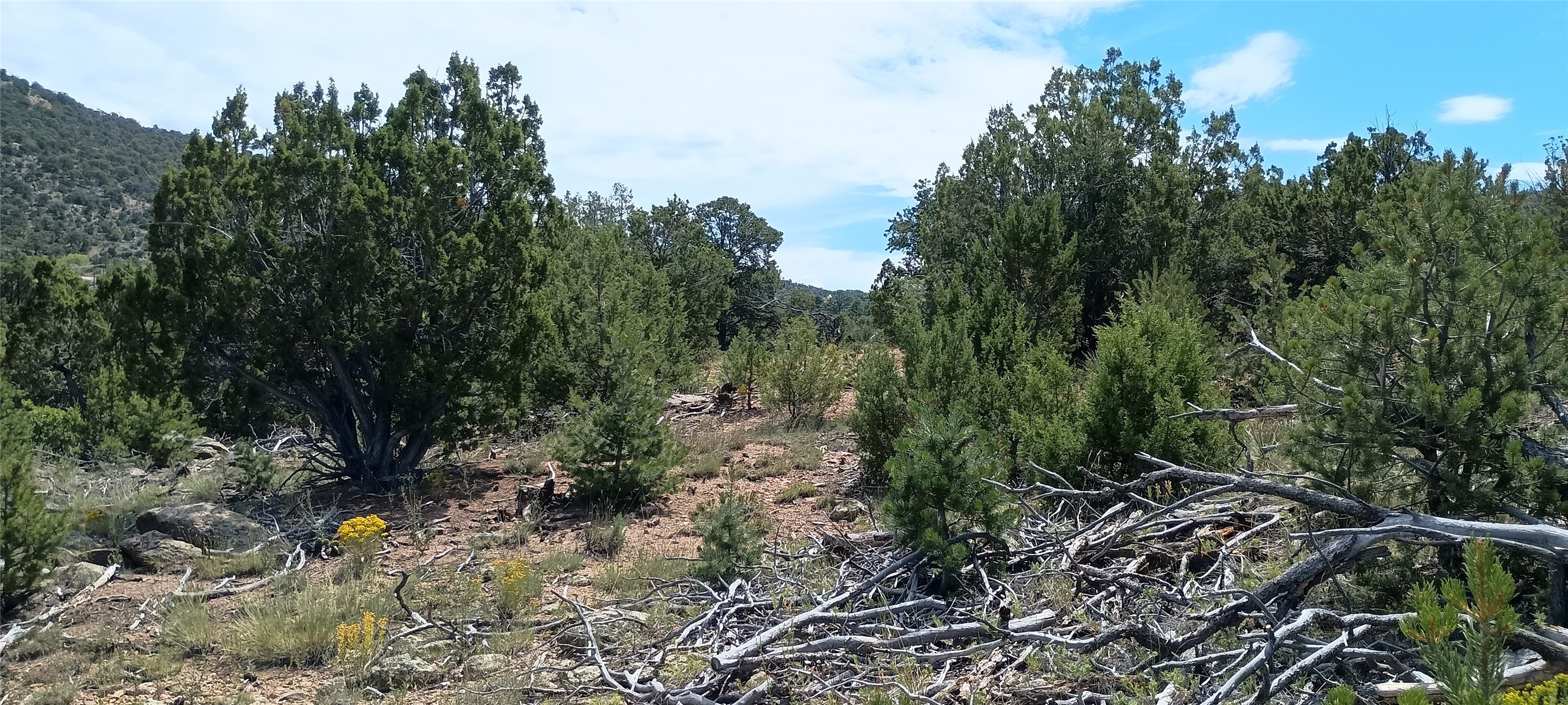 13 Sena Lane #LOT 2, Santa Fe, New Mexico image 4