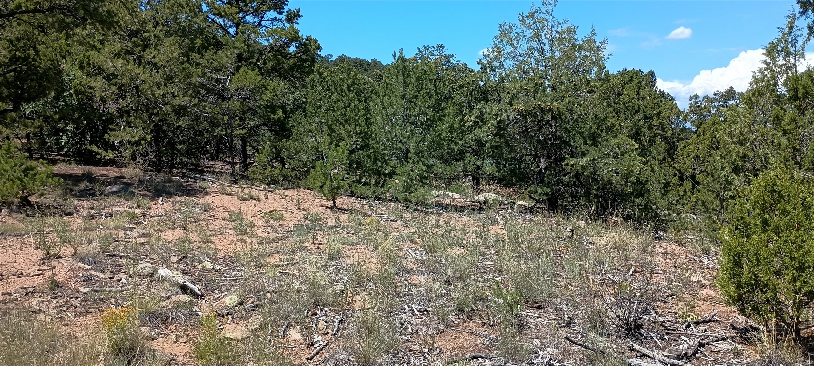 13 Sena Lane #LOT 2, Santa Fe, New Mexico image 13