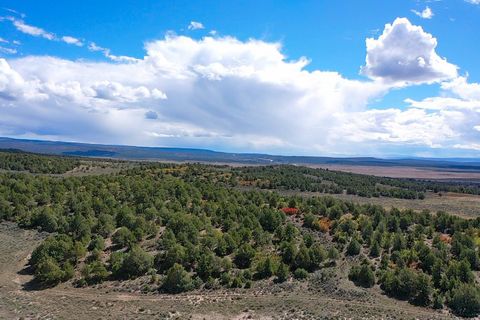 Vacant Land For Sale - HWY 84/64 Hwy 84/64<br/> Rio Arriba County, Tierra Amarilla, NM 87575