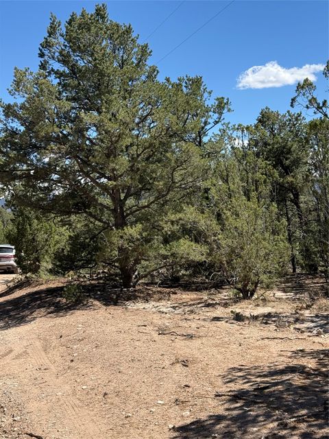 Vacant Land For Sale - 174 Hidden Valley Ranch Road<br/> San Miguel County, San Ysidro, NM 87538