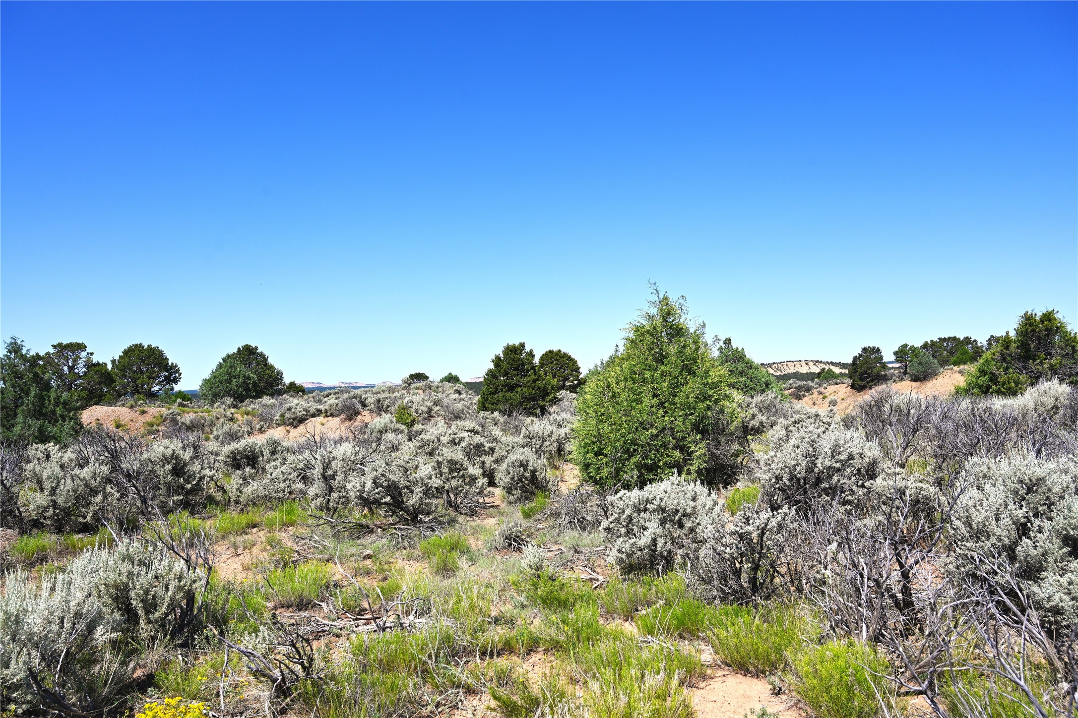 00 Groffman Rd, Regina, New Mexico image 7