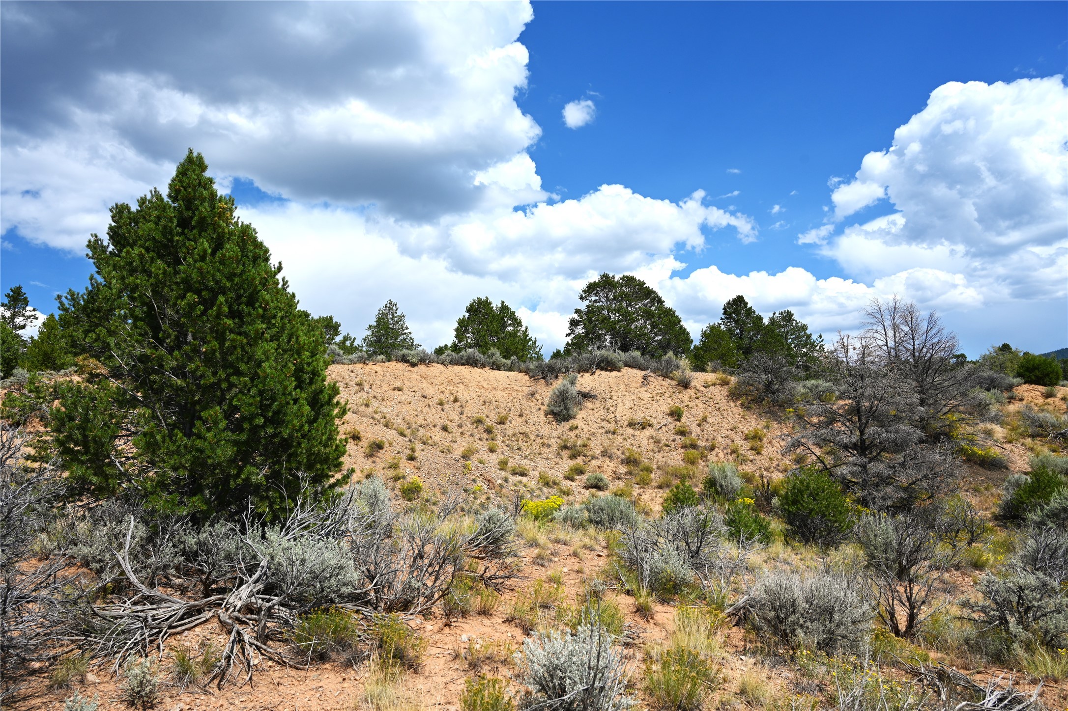 00 Groffman Rd, Regina, New Mexico image 20