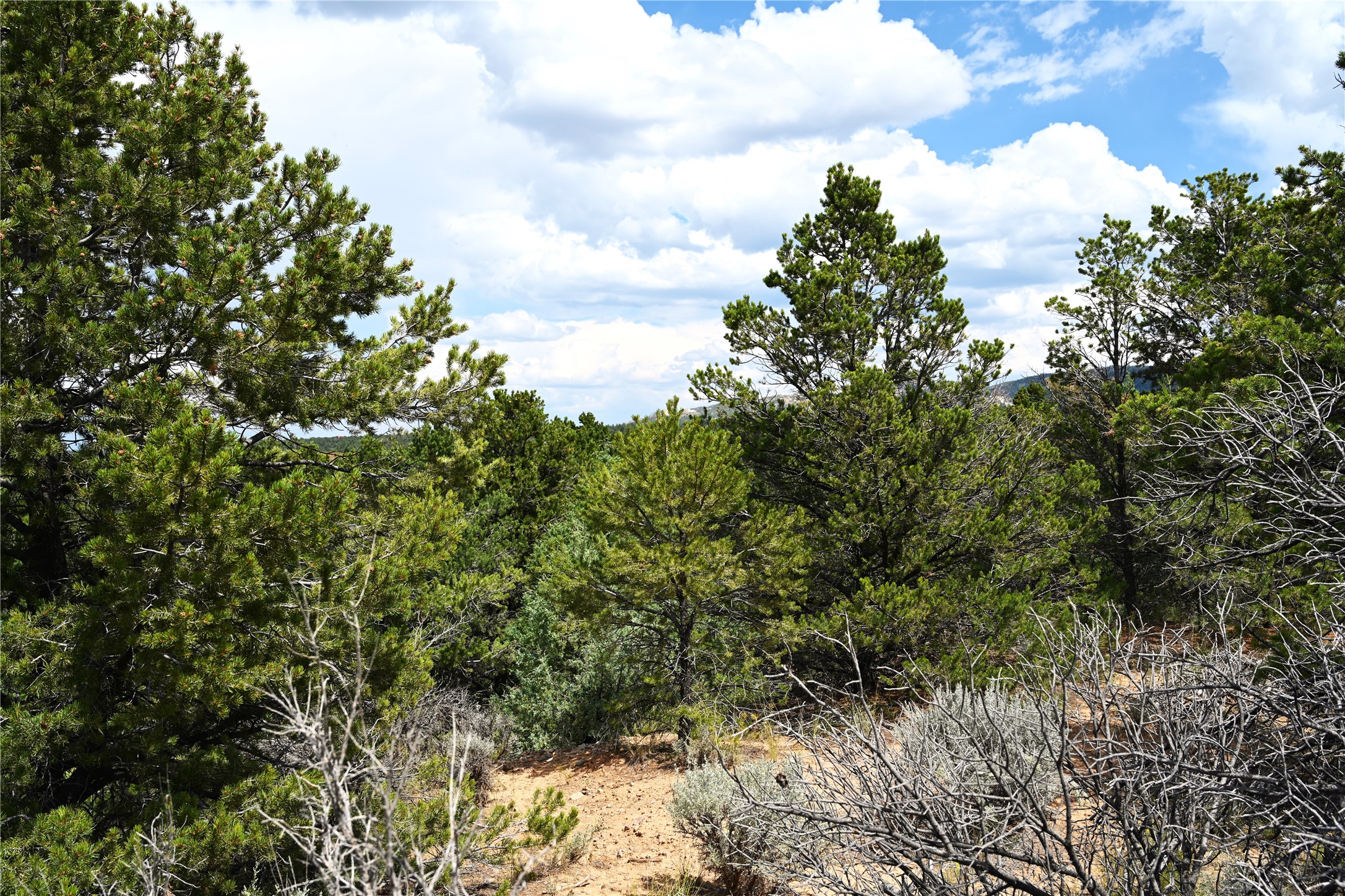 00 Groffman Rd, Regina, New Mexico image 17