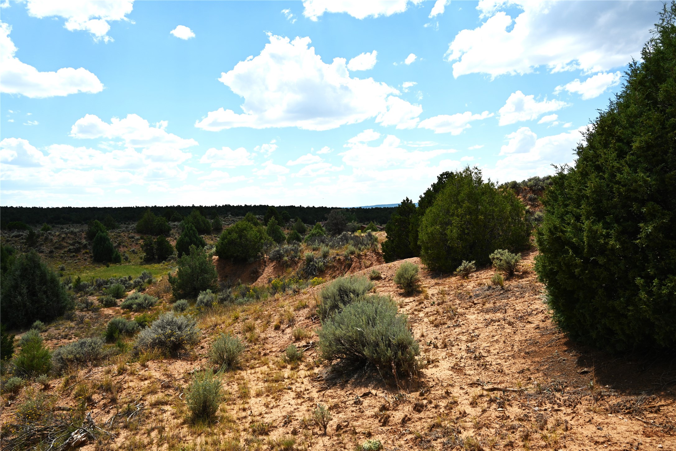 00 Groffman Rd, Regina, New Mexico image 11