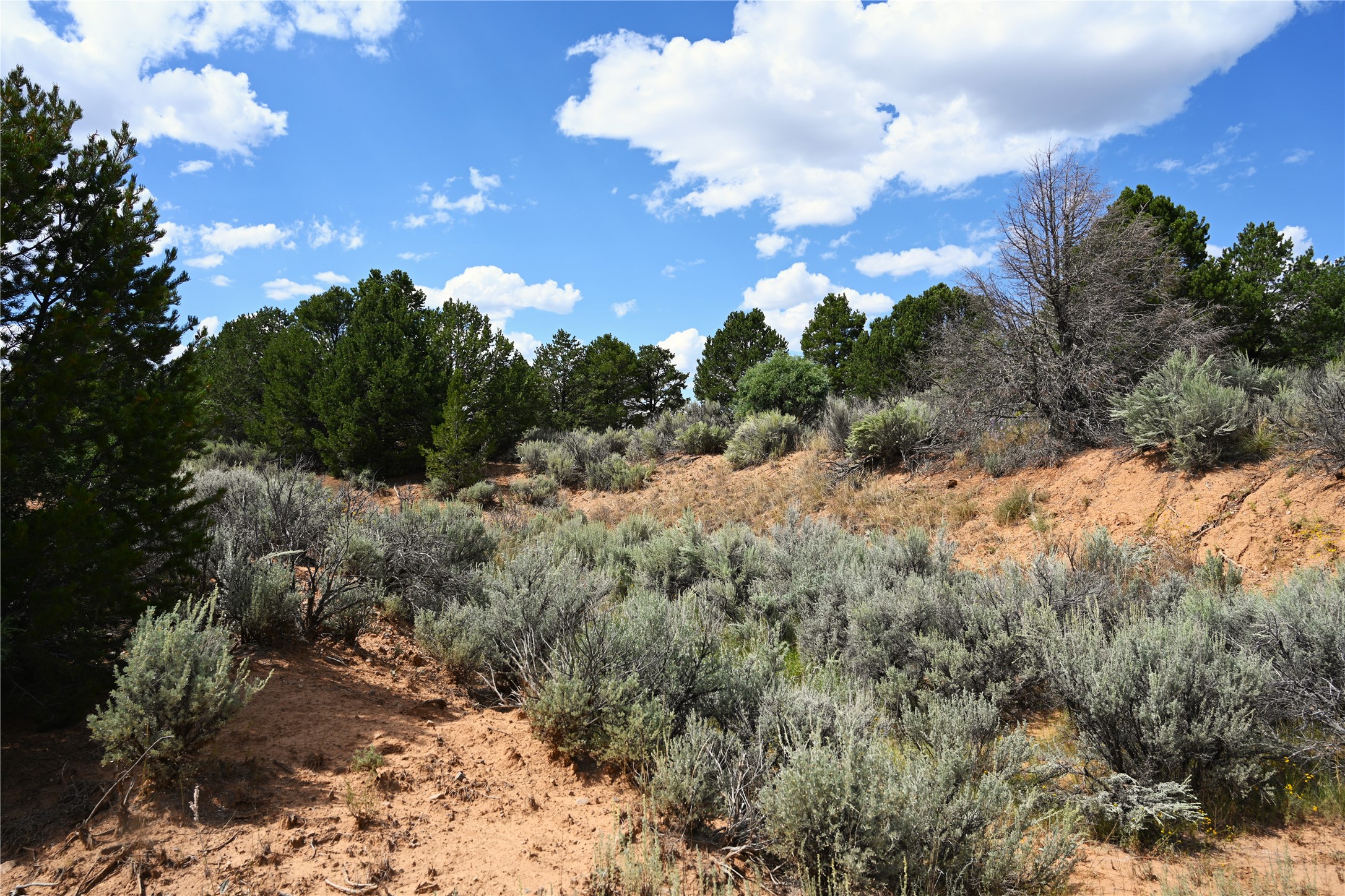 00 Groffman Rd, Regina, New Mexico image 13