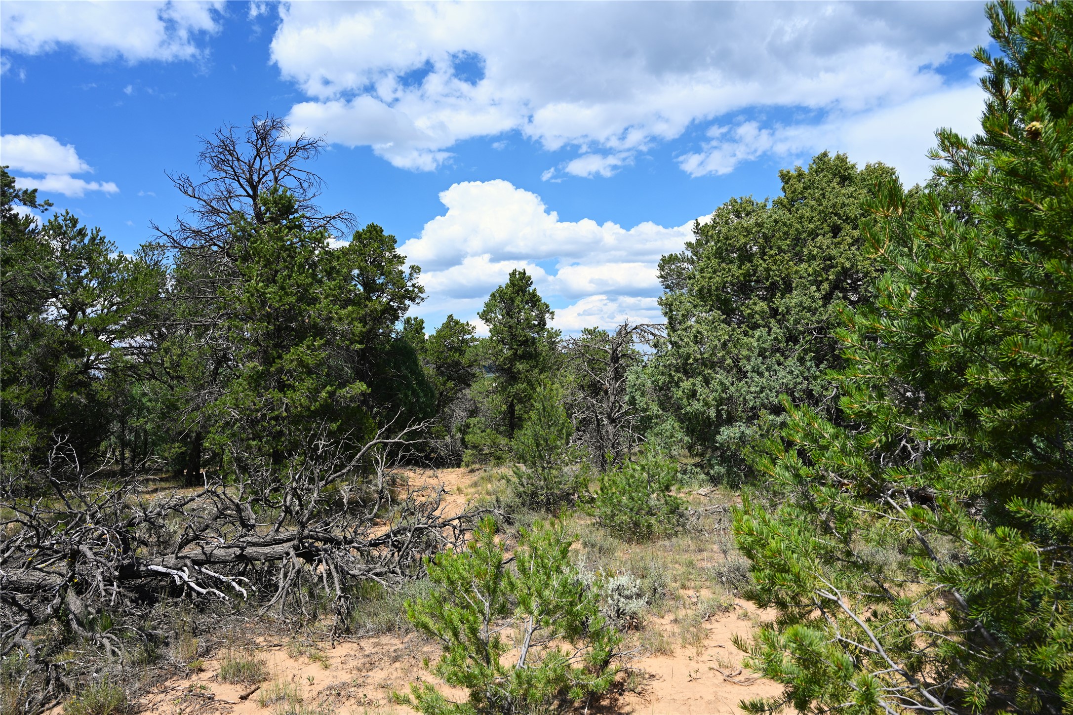 00 Groffman Rd, Regina, New Mexico image 28