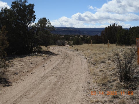 Vacant Land For Sale - Wildass Road<br/> Santa Fe, NM 87501