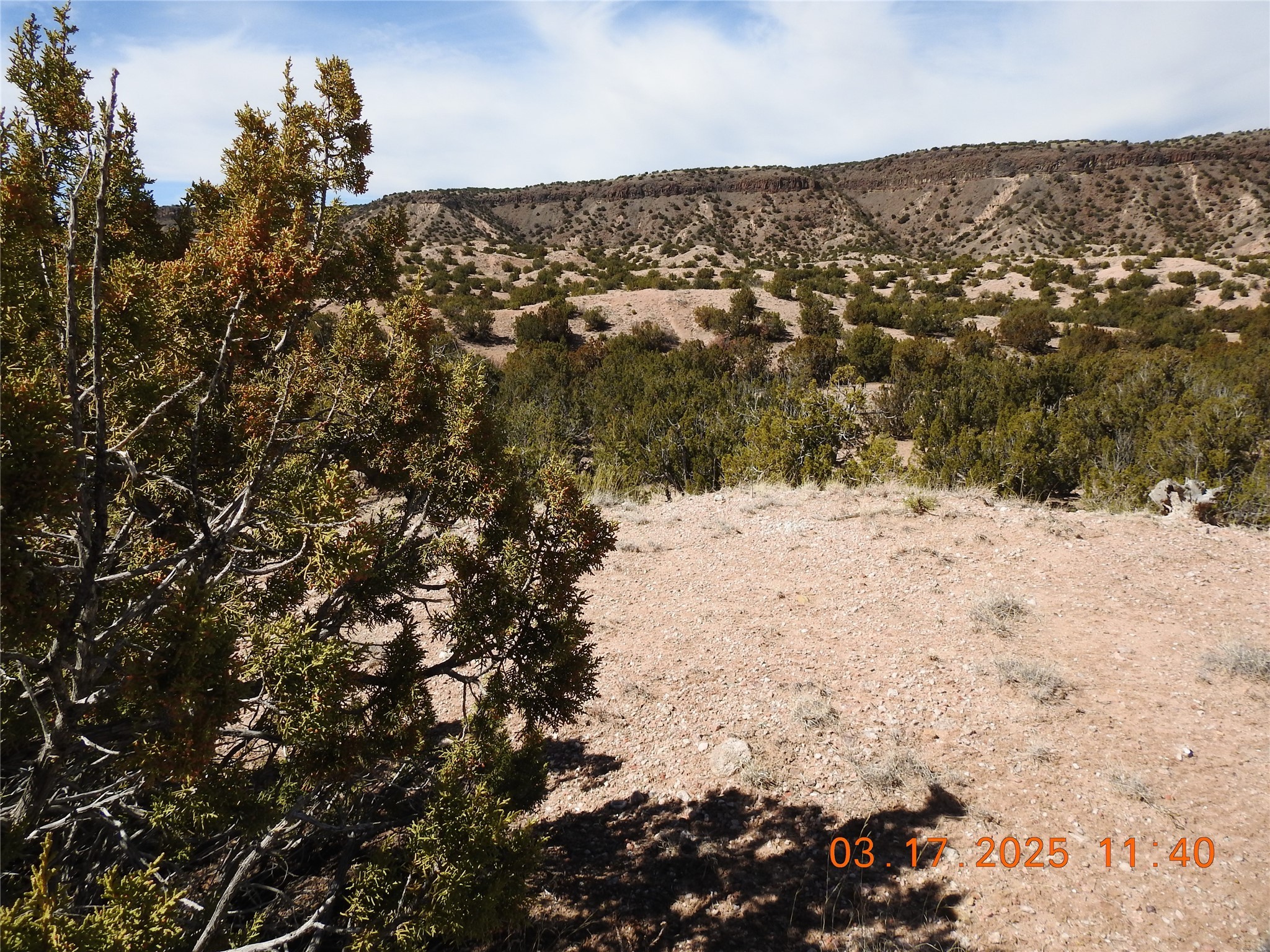 Wildass Road, Santa Fe, New Mexico image 14