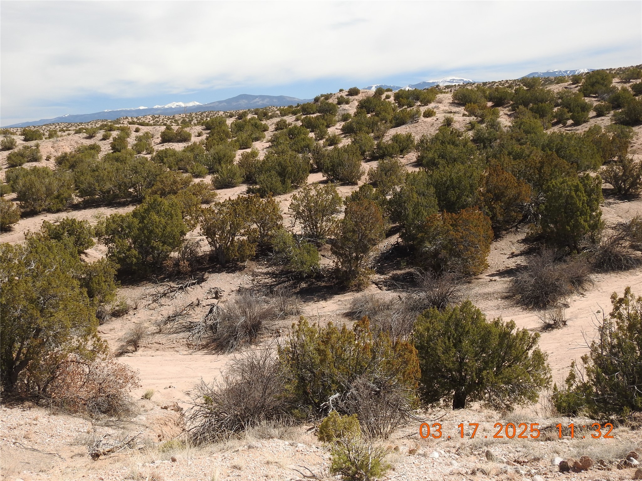 Wildass Road, Santa Fe, New Mexico image 7
