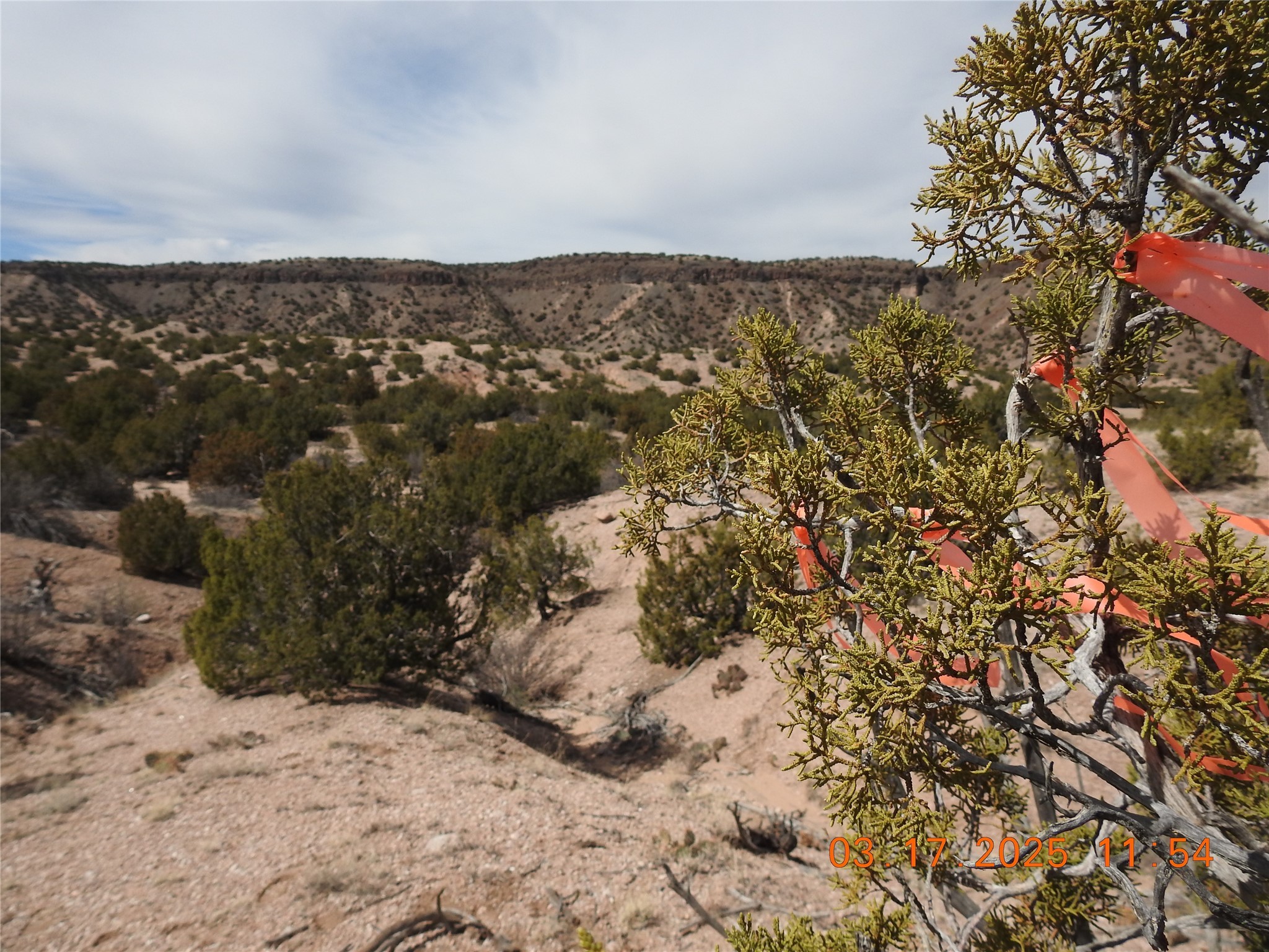 Wildass Road, Santa Fe, New Mexico image 18