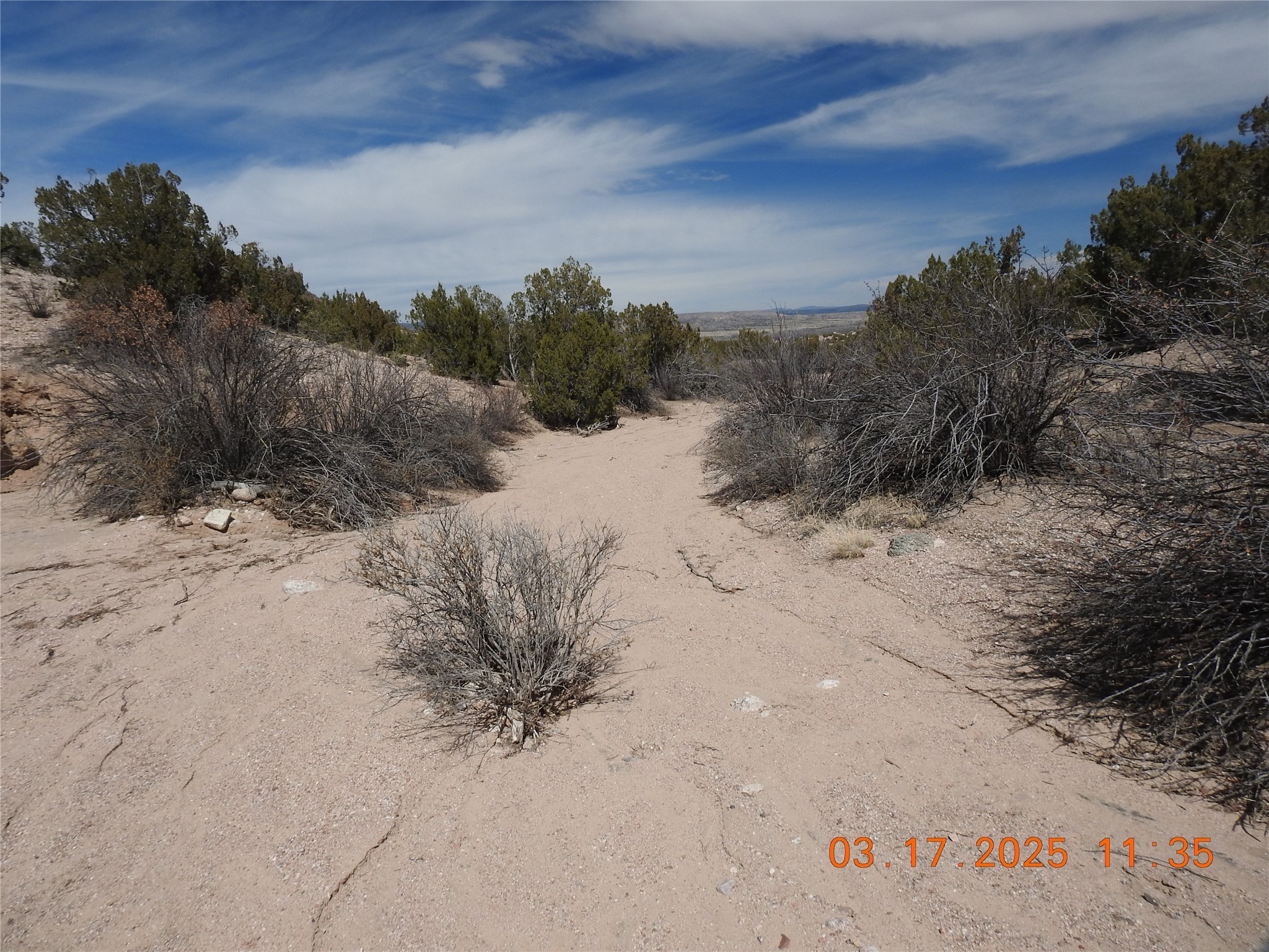 Wildass Road, Santa Fe, New Mexico image 12