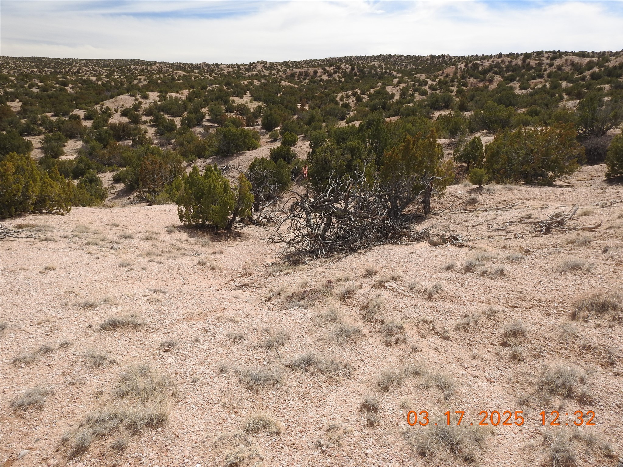 Wildass Road, Santa Fe, New Mexico image 25