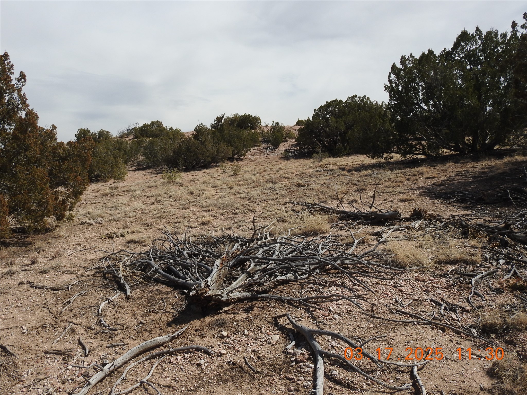 Wildass Road, Santa Fe, New Mexico image 4