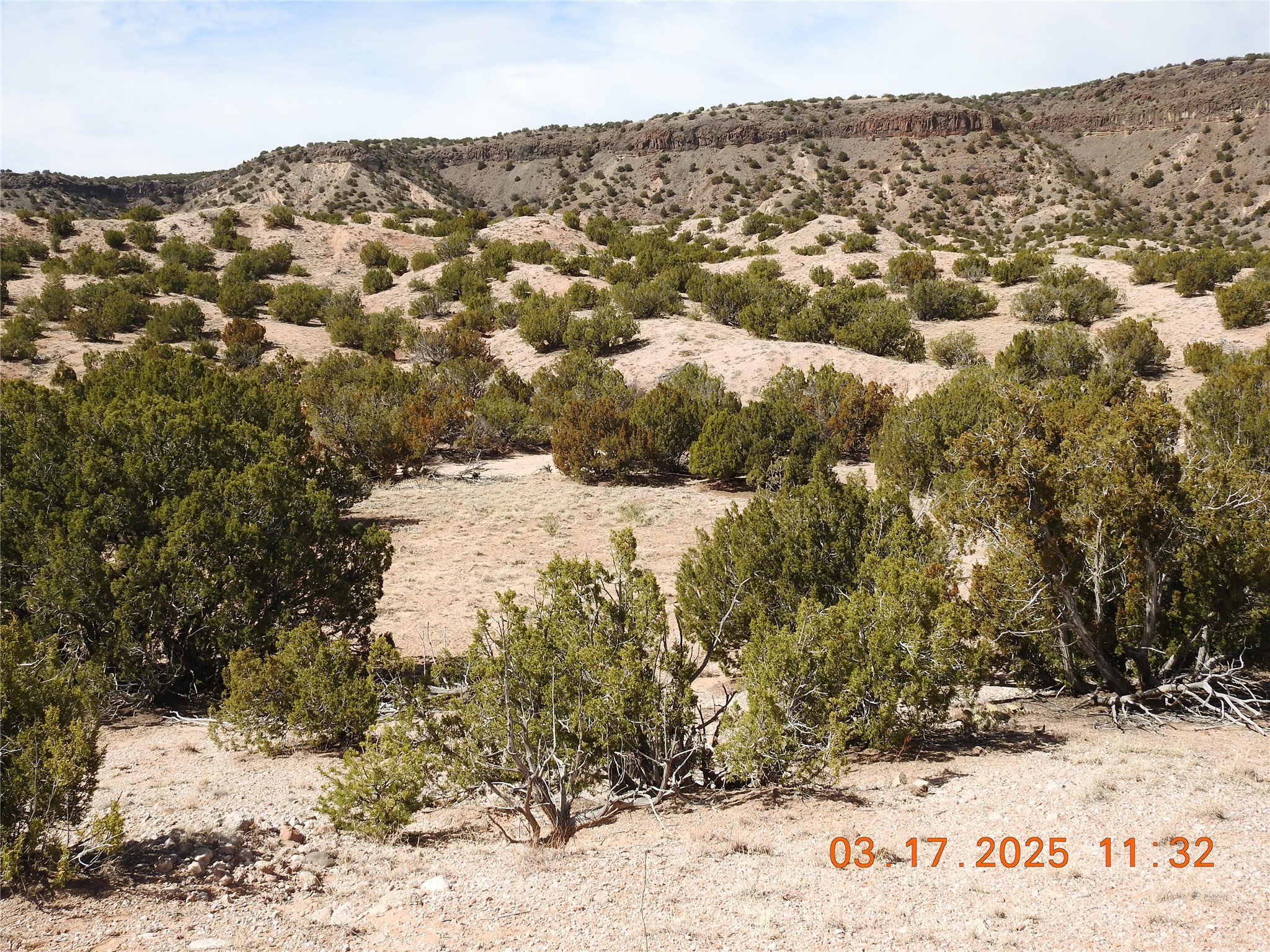 Wildass Road, Santa Fe, New Mexico image 6