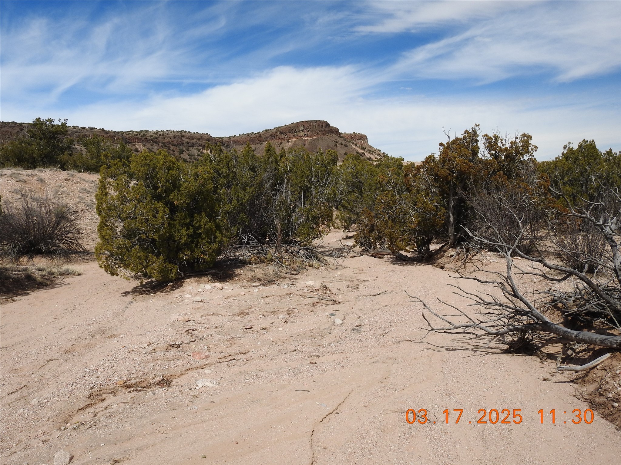 Wildass Road, Santa Fe, New Mexico image 3
