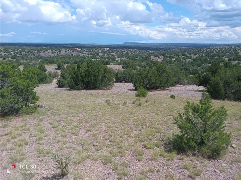 Photo of 10 El Cerro Trl, Santa Fe, NM 87508 (MLS # 202503915)