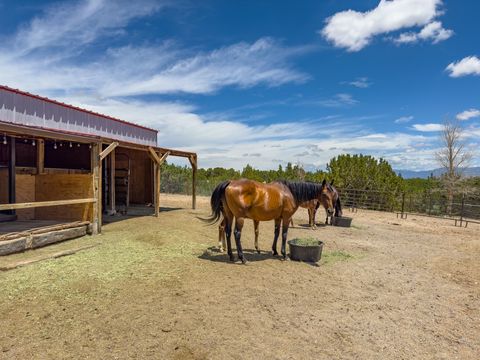 Tiny photo for 171 Silver Hills Road, Santa Fe, NM 87508 (MLS # 202601561)