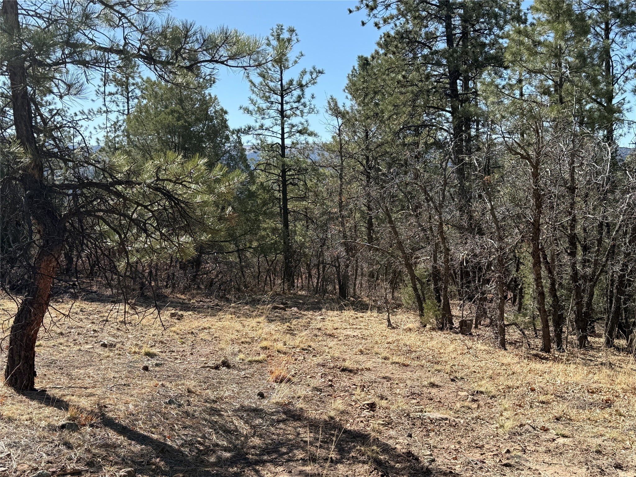 Big Oaks 3, Chama, New Mexico image 3