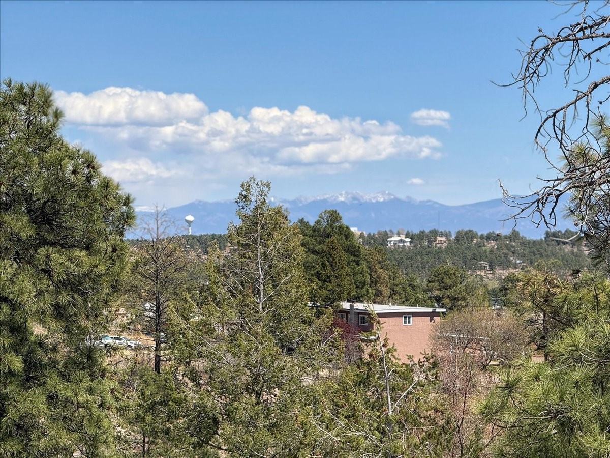 4621 Esperanza, Los Alamos, New Mexico image 30